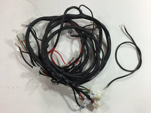 WIRE HARNESS for 400 gas cart